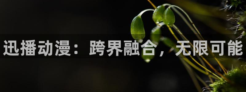 囧次元官网网址最新：迅播动漫：跨界融合，无限可能